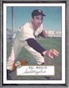 Small%20Maglie%20Card.jpg (6029 bytes)